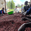Muganza Anaerobic Washed - Nyamagabe