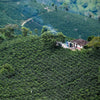 Finca La Esmeralda Anaerobic Washed - Huila
