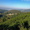 Das Almas Natural Anaerobic - Minas Gerais