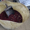 Finca El Cerro Pacas Dry Fermentation - Apaneca Llamatepec