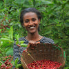 Lalesa Black Honey - Gedeb, Yirgacheffe