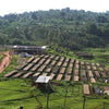 Kyanzavi Natural – Machakos