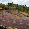 Lalesa Black Honey - Gedeb, Yirgacheffe