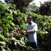 Finca San Francisco, Ice Drip Anaerobic Washed - Apaneca – Ilamapetec