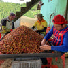 Villa Betulia Experimental Double Anaerobic Honey - Huila