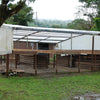 Finca La Ponderosa Gesha, experimental Sparkling fermentation
