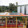 Santa Ana 96H Natural Anaerobic, Anserma Jòvenes Caficultores - Caldas
