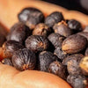 Gesha Mì Finquita Arango Miel Fermentation Lot - Chiriquì