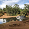Bekele Fega Naturale - Konga, Gedeo, Yirgachefe