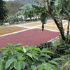 Finca La Florida Red Honey Geisha - Copey, San Jose