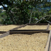 Estrella Divina Lot, Solidario Program - La Coipa