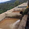 Kayo Natural Lotto 1, Shakiso - Guji