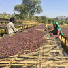Sewana natural Lotto #1- Guji Highland