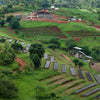 Gesha Village Surma lotto #37 - Bench Maji, Etiopia