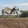 Ichamama AA Lotto #002, Othaya, Nyeri