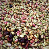 La Ponderosa Coffee Estate Geisha, 7-Day Anaerobic Fermentation