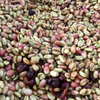 Finca La Ponderosa Gesha, experimental Sparkling fermentation