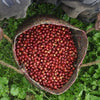 Sitio Sao Pedro #1, 72h Maceration - Mantiqueira