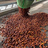 Santa Ana 96H Natural Anaerobic, Anserma Jòvenes Caficultores - Caldas