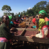 Wocho Sololo Anasora Natural - East Guji - Speciale Dicembre