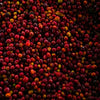 Bombe Dry Fermentation - Bensa District, Sidama
