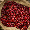 Finca San Francisco Extended Anaerobic Natural - Apaneca – Ilamapetec