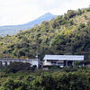 Finca San Francisco 140H Anaerobic Natural Geisha - Apaneca