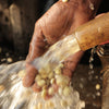 Bombe Dry Fermentation - Bensa District, Sidama