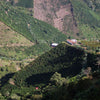 La Reserva Chiroso Anaerobic Honey - Antioquia