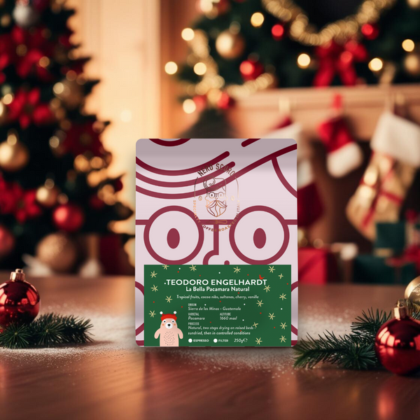 Teodoro Engelhardt - La Bella Pacamara Natural - Season's Special 🎄