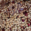 GW-1720 Gesha, double phase washed with dry cascara maceration - Boquete [<strong>LAST BATCH</strong>]
