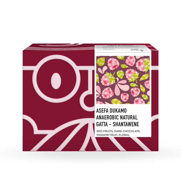 Asefa Dukamo Anaerobic Natural - Shantawene, Sidamo