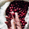 Comsa Natural Process - Sustainable project - Marcala OLD