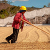 Comsa Natural Process - Sustainable project - Marcala OLD