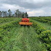 Daterra Bruzzi Natural, Boa Vista Farm - Cerrado Mineiro