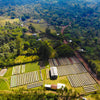 Asefa Dukamo Anaerobic Natural - Shantawene, Sidamo