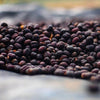 Asefa Dukamo Anaerobic Natural - Shantawene, Sidamo