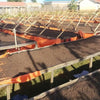 Dison Kareng Anaerobic Natural -  Kapchorwa