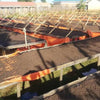 Dison Kareng Anaerobic Natural -  Kapchorwa