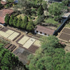 Finca El Cerro Pacas Dry Fermentation - Apaneca Llamatepec