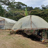 Finca El Lechero - San Ignacio