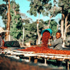 Asefa Dukamo Anaerobic Natural - Shantawene, Sidamo