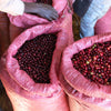 Guji Megadu Natural Anaerobic