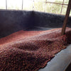 Ichuga AA - Nyeri
