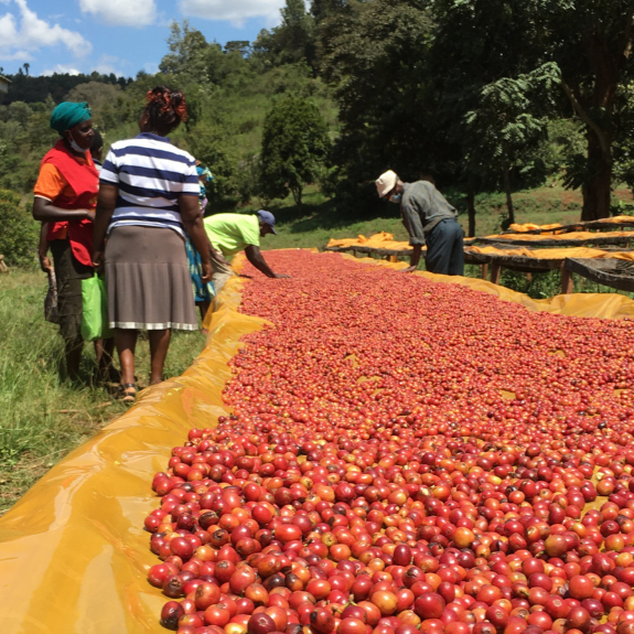 Kyanzavi Natural – Machakos