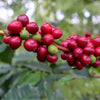 Kyanzavi Natural – Machakos