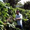 Finca San Francisco 140H Anaerobic Natural Geisha - Apaneca