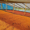 Villa Betulia Experimental Double Anaerobic Honey - Huila