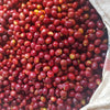 Banko Dhadatu Lotto 1 - Gedeo