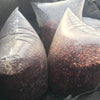 Frinsa Collective, Lot #1, 3-day anaerobic fermentation - Weninggalih